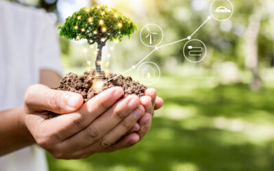 L’importanza delle fonti di energie rinnovabili: la loro efficienza