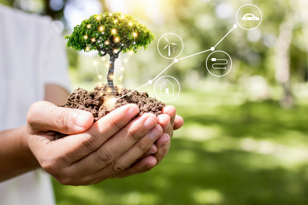 L’importanza delle fonti di energie rinnovabili: la loro efficienza