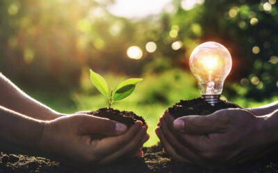 Combustibili fossili e impatto ambientale. Ecco perché preferire le fonti rinnovabili