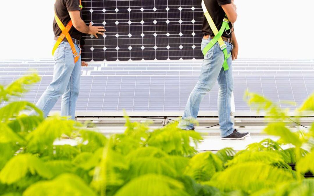 Allaccio fotovoltaico: cosa serve sapere